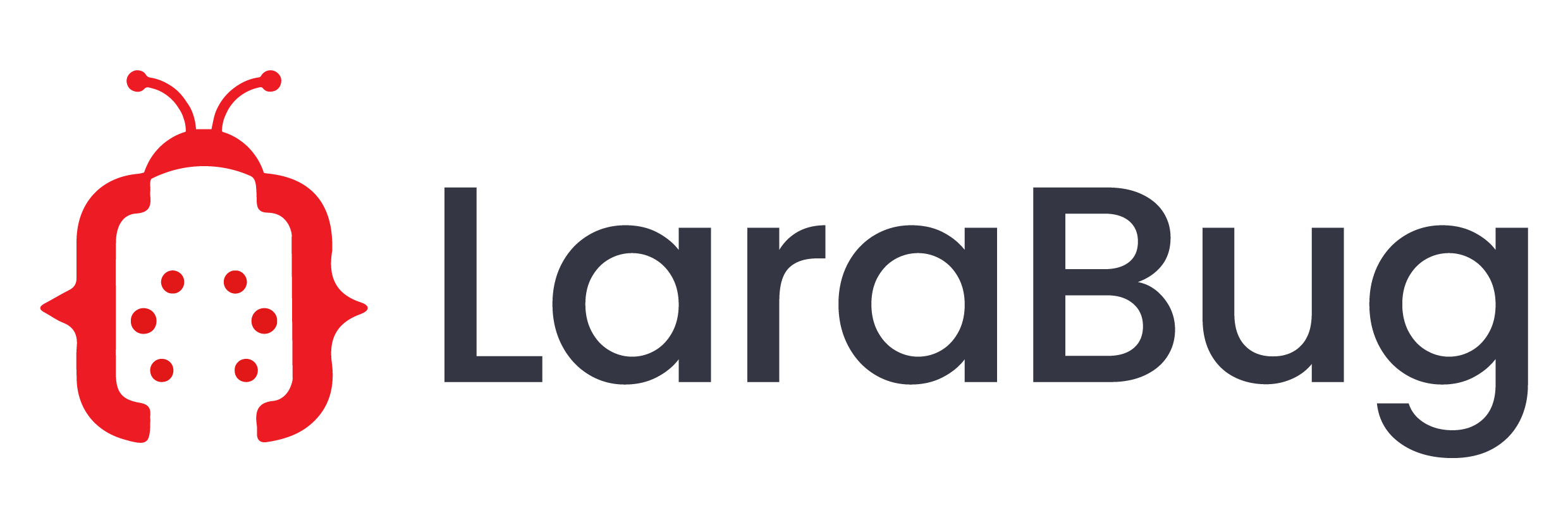 LaraBug v4