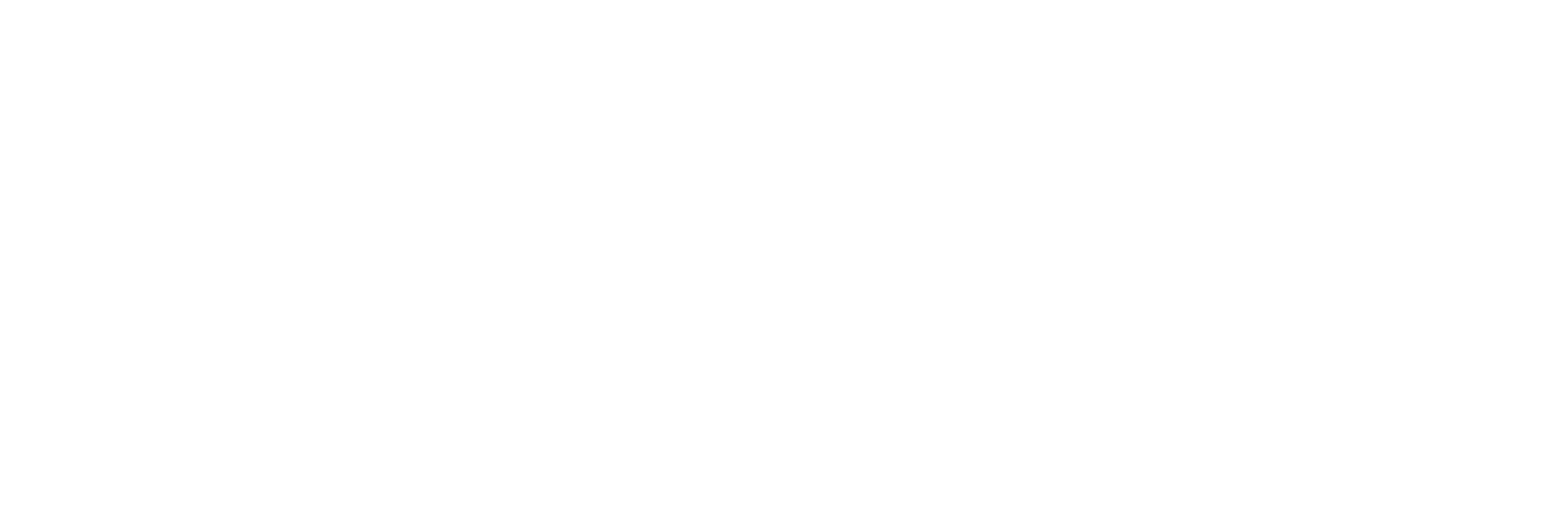 LaraBug v4